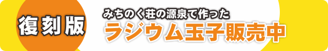 202101ラジウム玉子販売バナー